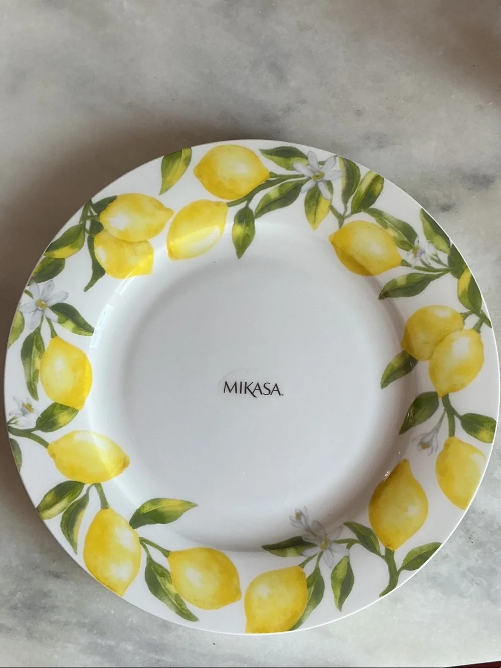 Mikasa Lemon & Leaf Rim Dinner Plate in Yellow and Green